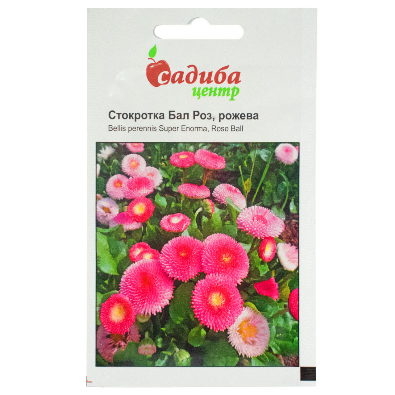 Маргаритка Бал троянд рожева 0.1 г Hem Zaden, фото 1