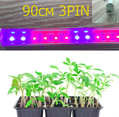 Фітосвітильник 90 см 12 Вт 3PIN для вирощування розсади огірків, помідор Т8 (4червоних:2сині)