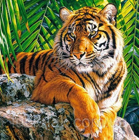 Алмазна вишивка, гордий тигр, 25х25 см, повна викладка