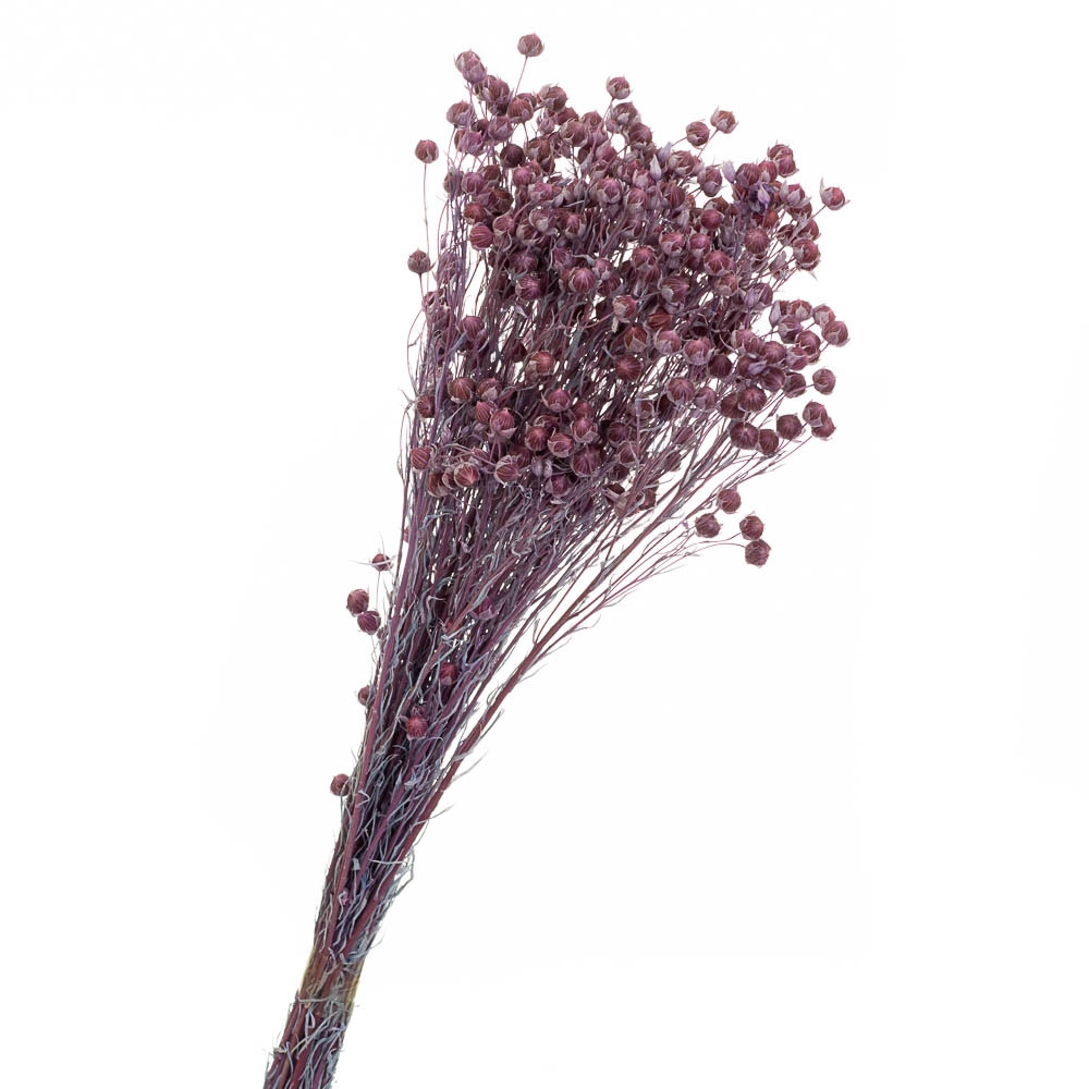 Сухотцет Фіолет, стабілізований (8213-006)