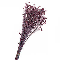 Сухоцвет Лен Фиолет, стабилизированные (8213-006)