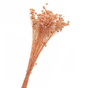 Персик Сухотцета, стабілізований (8213-007), фото 1