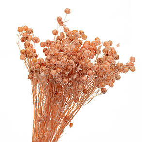 Персик Сухотцета, стабілізований (8213-007), фото 2