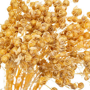 Сухий льон жовтий, стабілізований (8213-008), фото 3