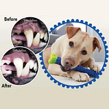 Самоочисна зубна щітка для собак dogs brush, фото 6