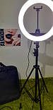 Кільцева світлодіодна лампа RING LIGHT ZB-R14 + сумка+штатив, діаметр 35 см,Професійна зйомка, фото 9