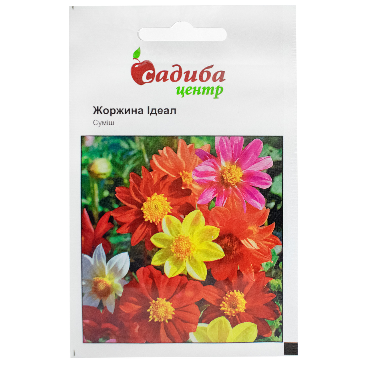 Жоржина Ідеал суміш 0.1 г Hem Zaden, фото 1