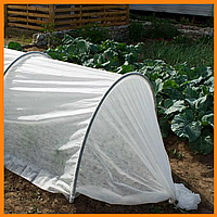 Парник 6000х1200