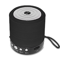 Портативна bluetooth колонка MP3 плеєр WSTER WS-631 BLC Black (2406)