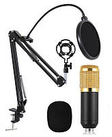 Студийный микрофон Music D.J. M800 со стойкой и ветрозащитой Black/Gold (5006)