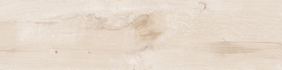 Керамограніт Zeus Ceramica Briccole Wood White 22.5x90 ZXXBL1BR за м2