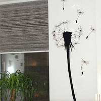 Виниловая декоративная наклейка Одуванчик (цветы растения самоклеющаяся пленка) матовая 350х1000 мм