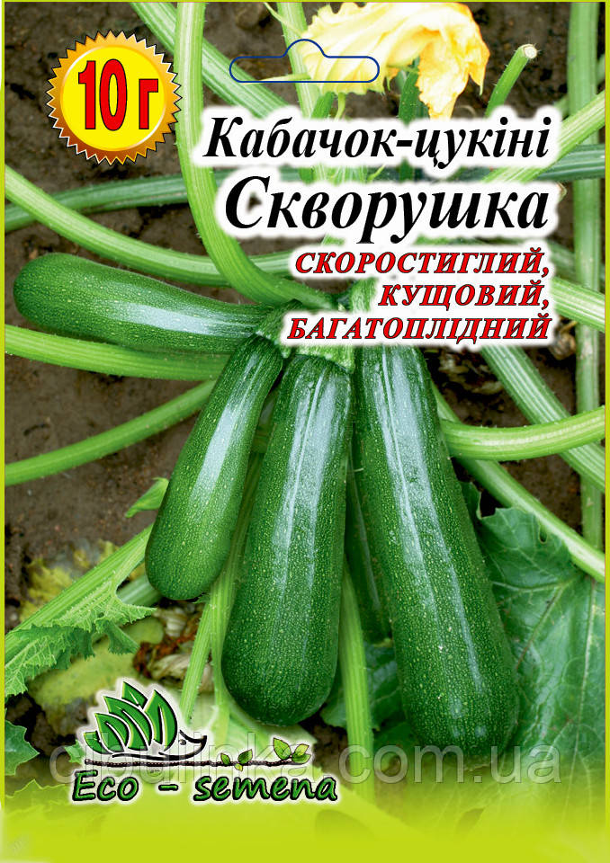 Насіння Кабачок-цукіні Скворушка, 10 г, фото 1