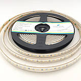Світлодіодна стрічка 24В 6Вт нейтральна біла LED-STIL 2835/120 4000K IP65 900Lm DFP2835-120A4-IP65-24V, фото 3
