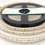 Світлодіодна стрічка 24В 6Вт нейтральна біла LED-STIL 2835/120 4000K IP65 900Lm DFP2835-120A4-IP65-24V, фото 4
