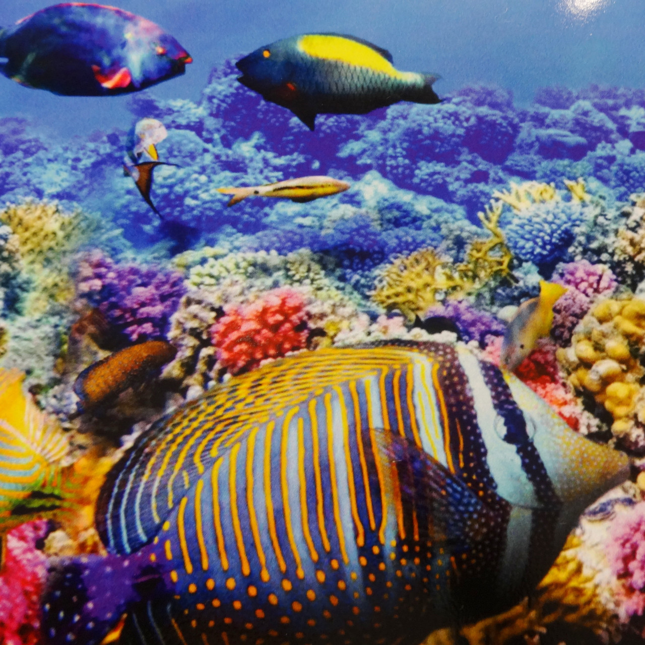 Плитка вставка Море с рыбками Декор панно 30х60 - фото 4 - id-p1353017686