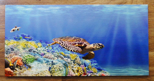 Kafel'nyy-dekor-Panno-Cherepakha-vstavka Kafel'nyy-dekor-Panno-Cherepakha-vstavka