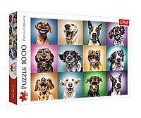 Пазл 1000 Trefl Веселі портрети песиків (Funny dog portraits)