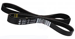 Ремінь 1213 H8 PHE для пральної машини Indesit, Ariston C00083910