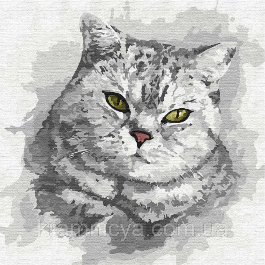 Картина за номерами Зеленоокий погляд, 30x30 Ідейка (КНО4200), фото 1