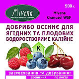 Осіннє добриво для лохини винограду черешні Mivena Granusol WSF 10-10-30-6MgO-TE, фото 2