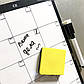 Календар на місяць Магнітний My Perfect Month Бізнес Кіт LifeFLUX А3 чорно-білий, фото 2