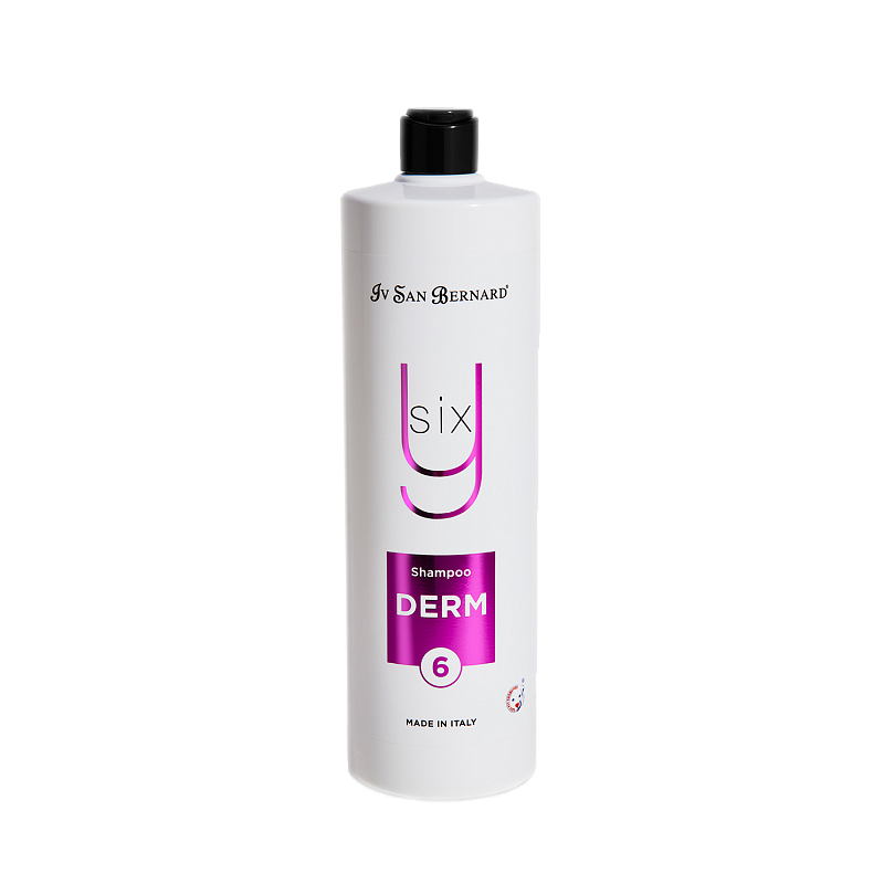 Шампунь для пошкодженої і роздратованої шкіри тварин Iv San Bernard DERM SHAMPO 6Y 1 л, фото 1