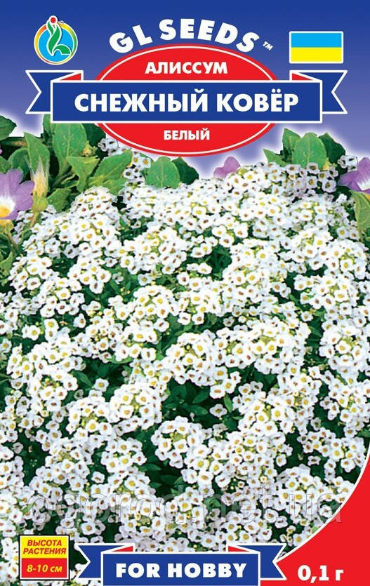 Аліссум Сніговий килим GL Seeds Україна