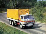 Вантажівки 10-тонними автомобілями на Львівській ділянці, фото 4