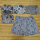 Труси чоловічі сімейні ростовка р.48-50,50-52,52-54,54-56 асорти Україна 988117687, фото 6