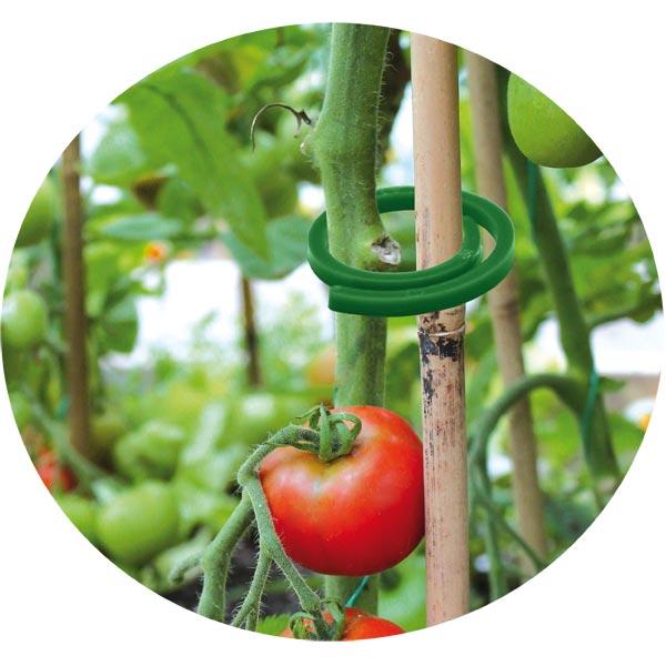 Затискачі для кріплення рослин — 50 шт., TYK31, фото 1