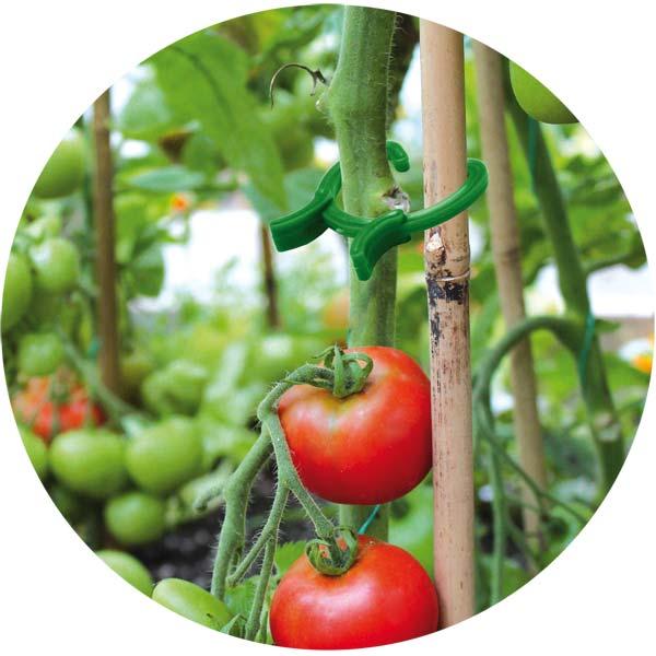 Затискачі для кріплення рослин, 3 розміри — 45 шт., TYK19., фото 1