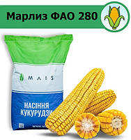 Марлиз ФАО 280 АПК "Маис" Черкассы