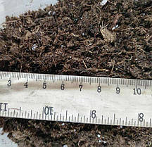 Субстрат для лохини «Двіна» 2.8-4.2 pH фр. 15-30 мм, 100 л, фото 3