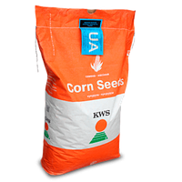 Семена кукурузы KWS Богатырь ФАО 290