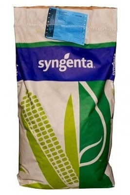 Семена кукурузы СИ Феномен (Syngenta) ФАО 220 - фото 1 - id-p1354337582