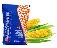 Семена кукурузы МАС 30.К (ФАО 280) Маисадур (MAЇSADOUR)