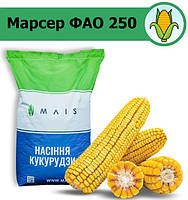 Марсер ФАО 250 АПК "Маис" Черкассы