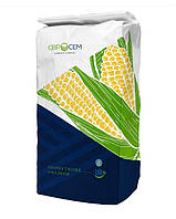 Меган ФАО 250 Евросем (MEGAN) Семена кукурузы