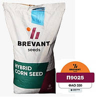 Р9025 ФАО 330 (Maxim XL) Семена кукурузы Brevant