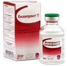 Ензапростт Т 50мл