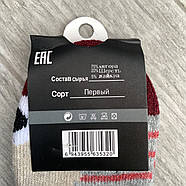Шкарпетки дитячі махрові ангора з вовною Корона, 26-31 розмір, асорті, 3532, фото 6
