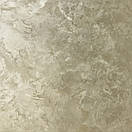 Декоративна штукатурка шовк VELATURA SETA FIORENTINA DECO TERRA (Срібна база) 1кг, фото 5