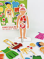 Вивчаємо будову тіла. Серія «Інтелект-студія ІНДИГО»