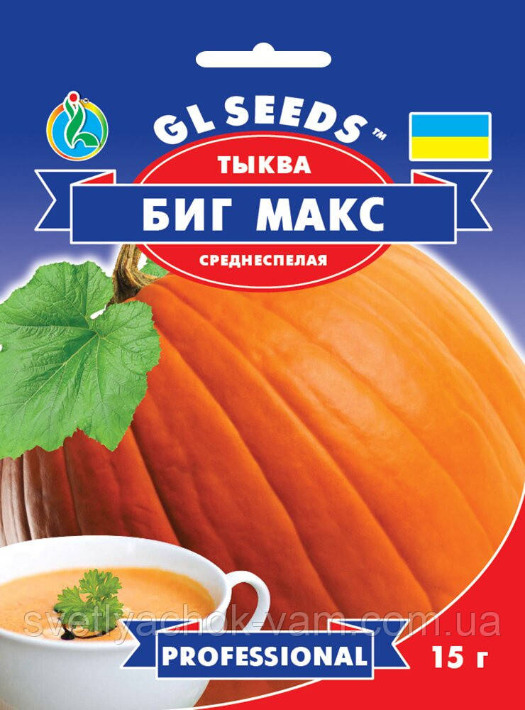Гарбуз Біг Макс середнього стиглий високоушкоджене столове призначення упаковка 15г