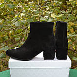 Шкіряні черевики ADAMS на підборах Чорний, Замша, фото 3