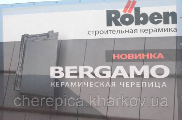 Керамічна черепиця ROBEN BERGAMO, фото 1