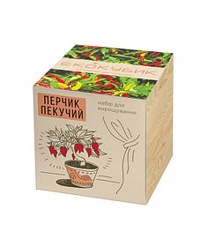 Экокуб Лаванда (набір для вирощування)