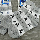 Шкарпетки жіночі махрові "ОЛЕНІ", кашмилон, BEAUTY SOCKS, р23-25, св-сірі, 20025892, фото 8