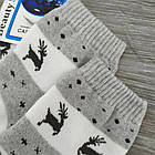Шкарпетки жіночі махрові "ОЛЕНІ", кашмилон, BEAUTY SOCKS, р23-25, св-сірі, 20025892, фото 10